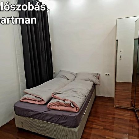 Green Panda Apartments Budapešť Exteriér fotografie